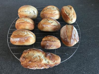 Weizenbrötchen-Livieto-Madre-6